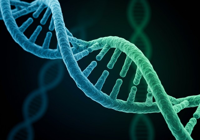 Genetic-1