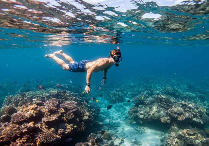 how-to-grow-taller-by-swimming-1