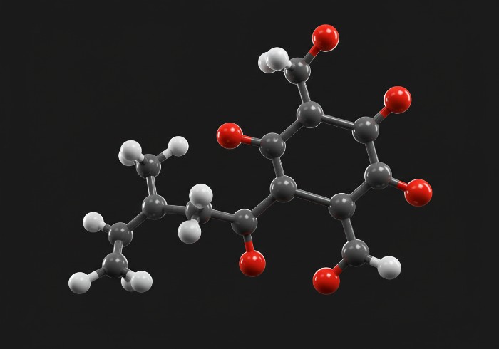 does-creatine-stunt-growth-3