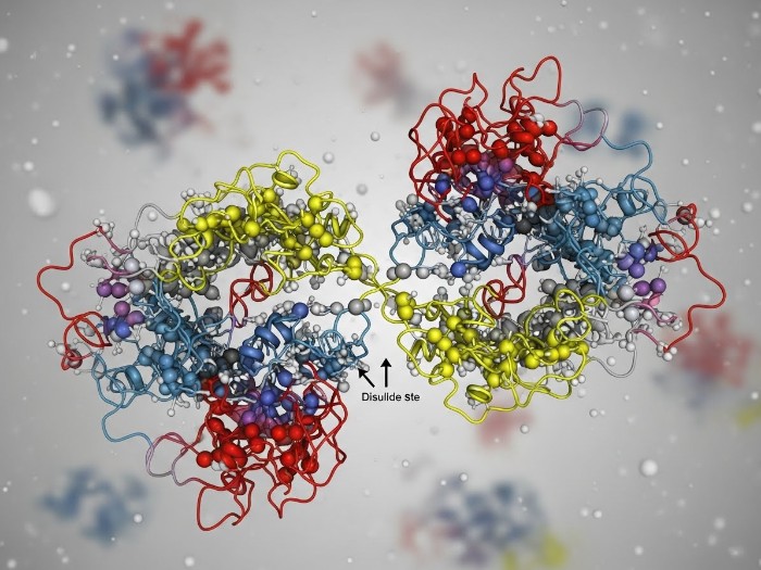 Little-known Facts About Growth Hormone-1