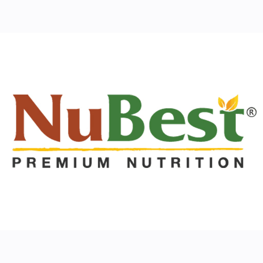 logo-nubest