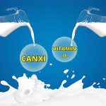 Vai trò của Canxi và Vitamin D trong sữa đối với việc tăng chiều cao
